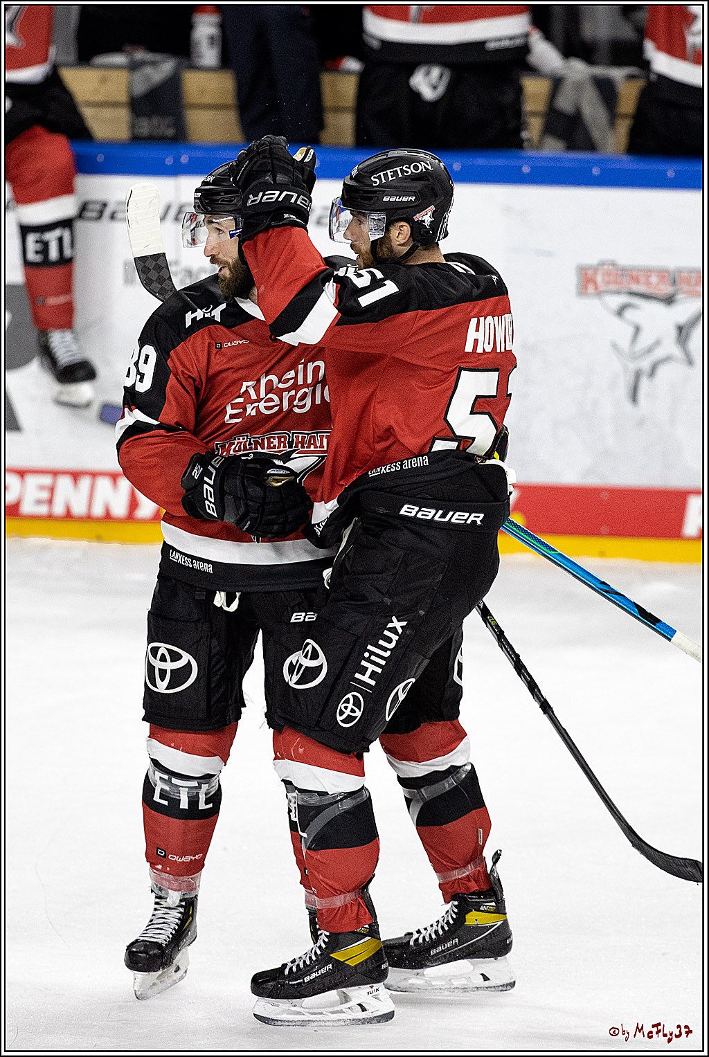 PENNY DEL;  Koelner Haie - Nuernberg Ice Tiger; Koeln, 21.09.2021
